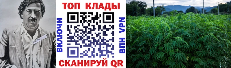 Купить Канабис  СК  ЭКСТАЗИ  Амфетамин  Мефедрон  Гашиш  COCAIN  Белокуриха